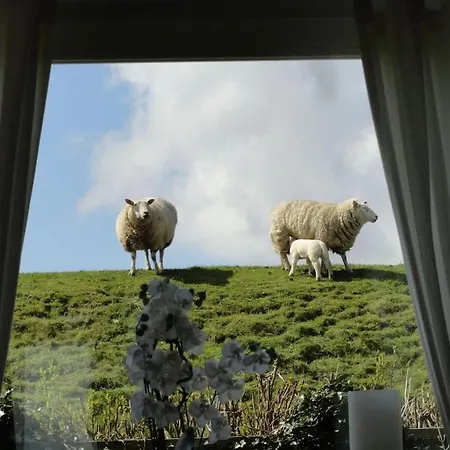 With 3 Bedrooms Сasa de vacaciones *